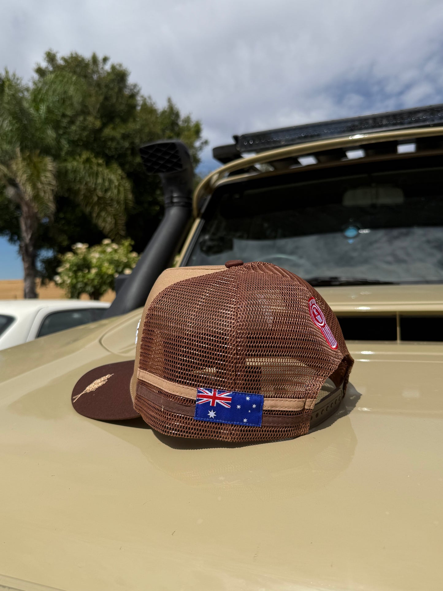 Dusty Trucker Cap